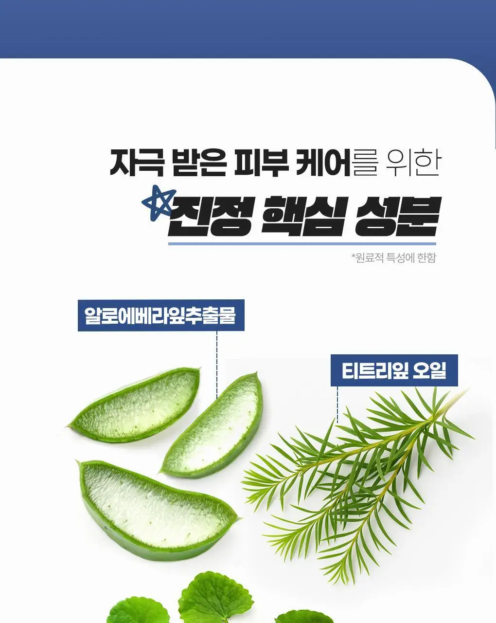 [초밀착/저자극] 아이디얼포맨 멀티 스팟 패치 53매 상세페이지 17